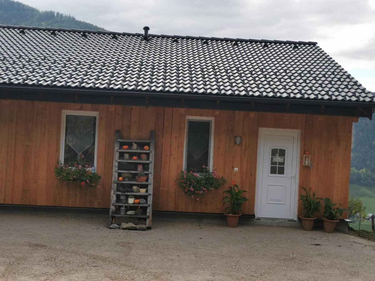 Bergblick Hollnhof Apartment Donnersbach Exterior photo